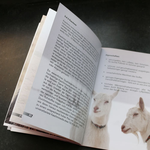 Katalog Gestaltung Innenseite