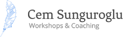 Cem Sunguroglu, Workshops & Coaching
